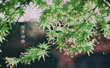 2024年幼儿园大班四月工作计划5篇