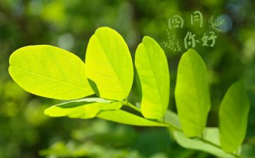 你是四月天作文5篇