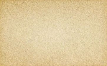 春节的素材作文5篇