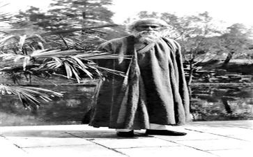 泰戈尔诗选的心得体会6篇