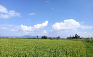 小班天气的教案8篇
