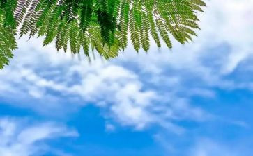 的天气教案6篇