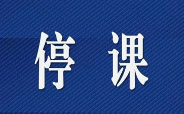 停课不停学活动方案6篇
