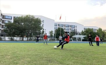 2024下学期体卫艺工作计划7篇