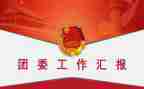 分团委工作总结模板8篇