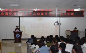 团总支心得体会5篇