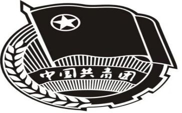 团组织生活个人总结5篇