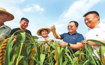 脱贫个人扶贫工作总结5篇