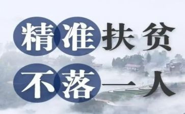 脱贫工作总结范文6篇