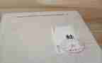 蛙的实验心得体会参考8篇