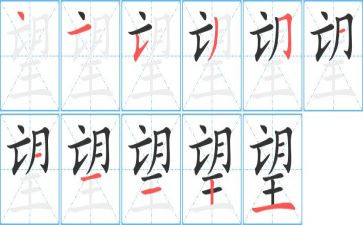 仰望星空和脚踏实地的作文6篇