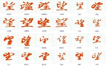 仰望星空和脚踏实地的作文推荐7篇