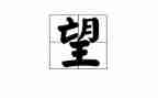 我的愿望作文300字作文精选5篇