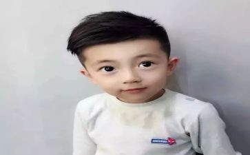 读了小王子的读后感最新8篇