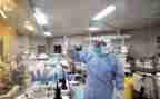 校园卫生调查报告7篇