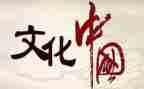 文化心得体会1000字5篇