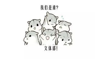 学生会文体部年终总结6篇