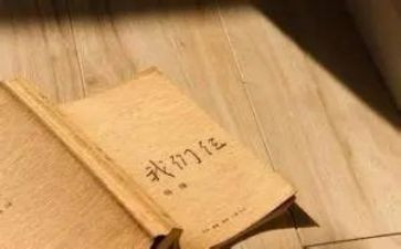 看我们仨读后感优秀5篇