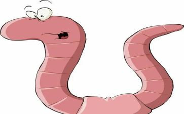 读蚯蚓的日记读后感6篇