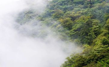 大班科学雾和霾教案反思推荐7篇