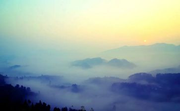 雾的读后感30字优秀7篇