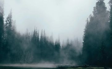 有关雾霾的演讲稿8篇