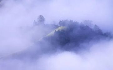 雾的读后感30字推荐6篇
