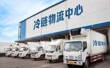 物流报告心得体会6篇