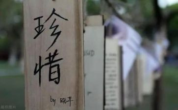 《珍惜》读后感7篇