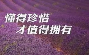 要珍惜作文500字7篇