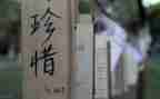 《珍惜》读后感7篇