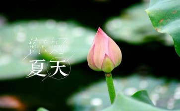 夏令营作文8篇