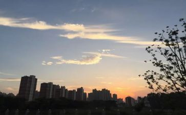 中班下班级工作计划优质5篇