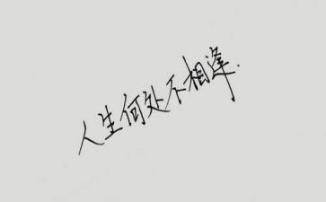 与你相逢的作文5篇