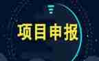项目周工作总结模板6篇