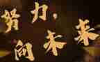 向未来演讲稿精选5篇