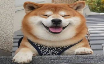 《微笑》教案参考6篇