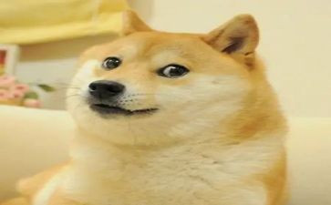 把微笑献给自己演讲稿7篇