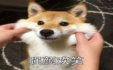关于微笑演讲稿6篇