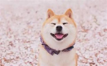 笑的力量演讲稿7篇
