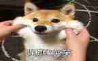 笑对生活作文600字优秀6篇