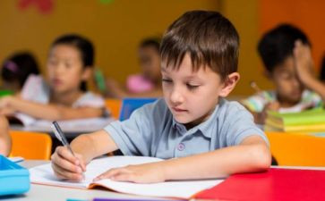 2023年幼儿园小班个人工作计划推荐8篇