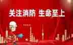 2024消防个人总结通用8篇