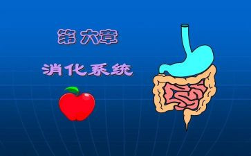 消化内科内科工作计划7篇