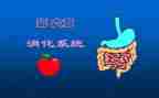 消化内科内科工作计划7篇