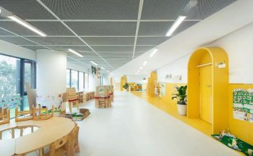 2024年度小学数学教师工作总结优质8篇