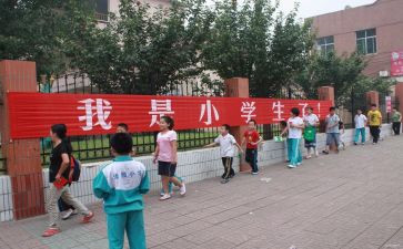 最新小学校长述职报告8篇