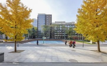 参加校园活动心得体会5篇