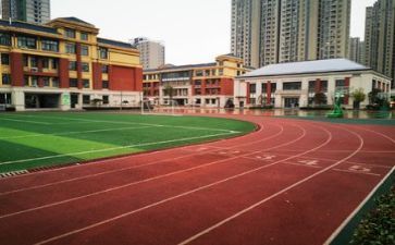 校园情心得体会推荐7篇
