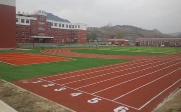 环保校园心得体会8篇
